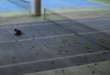 What to Do After a Loss
