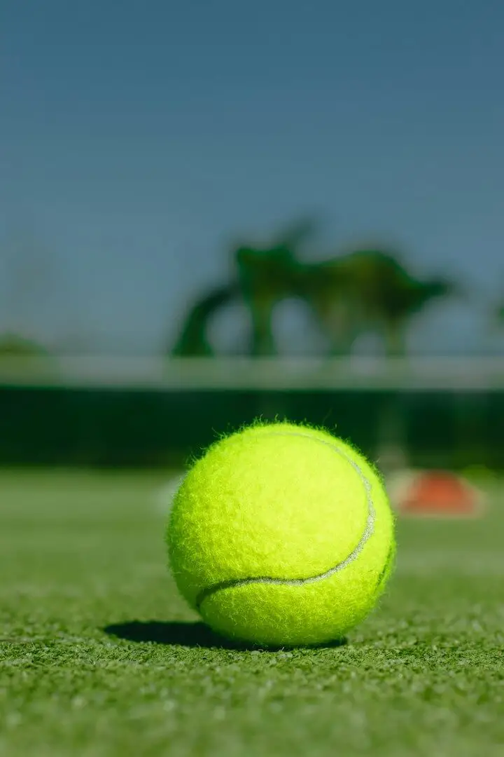 What’s Inside a Tennis Ball